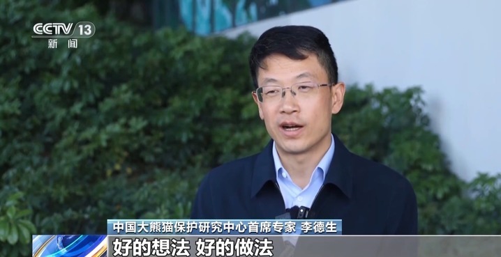 建熊猫馆、办生日会、投票征名 旅外大熊猫被“花式”宠爱