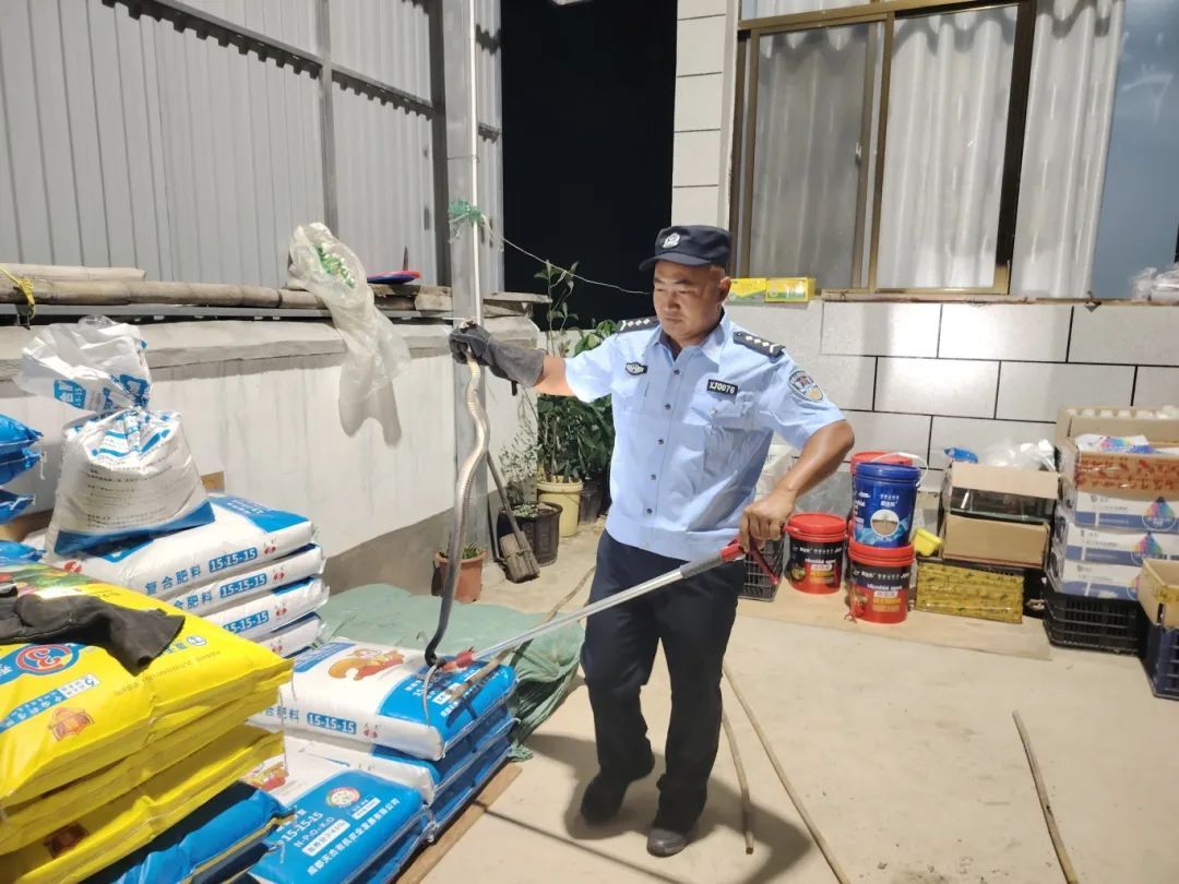 嘶嘶嘶~“蛇出没”！民警上演“连环捕蛇记”