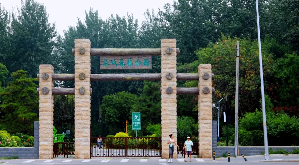 京城森林公园焕新颜：650亩绿隔乐园，自然教育新地标