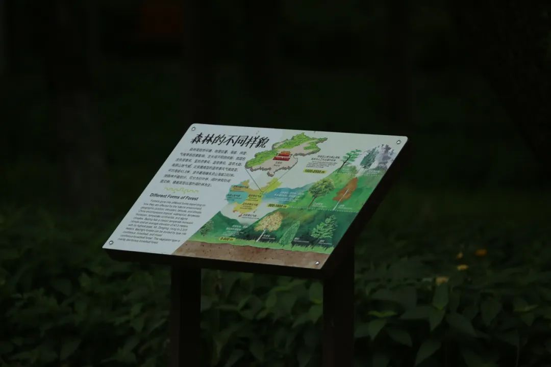 京城森林公园焕新颜：650亩绿隔乐园，自然教育新地标