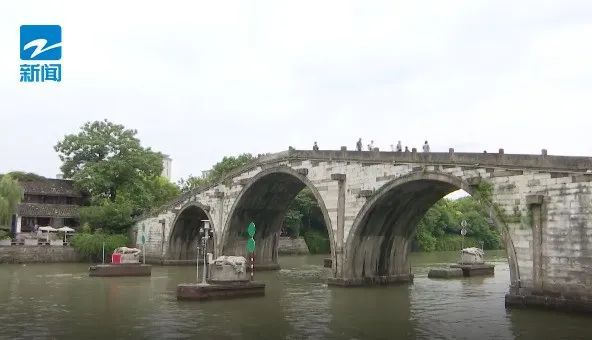 杭州西湖边500年古树被撞断！法院判了：赔偿11万