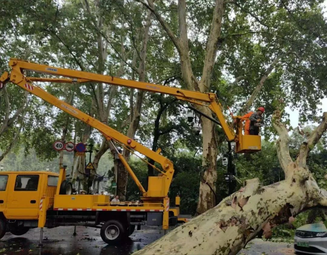 刚刚！杭州气温暴降10℃！