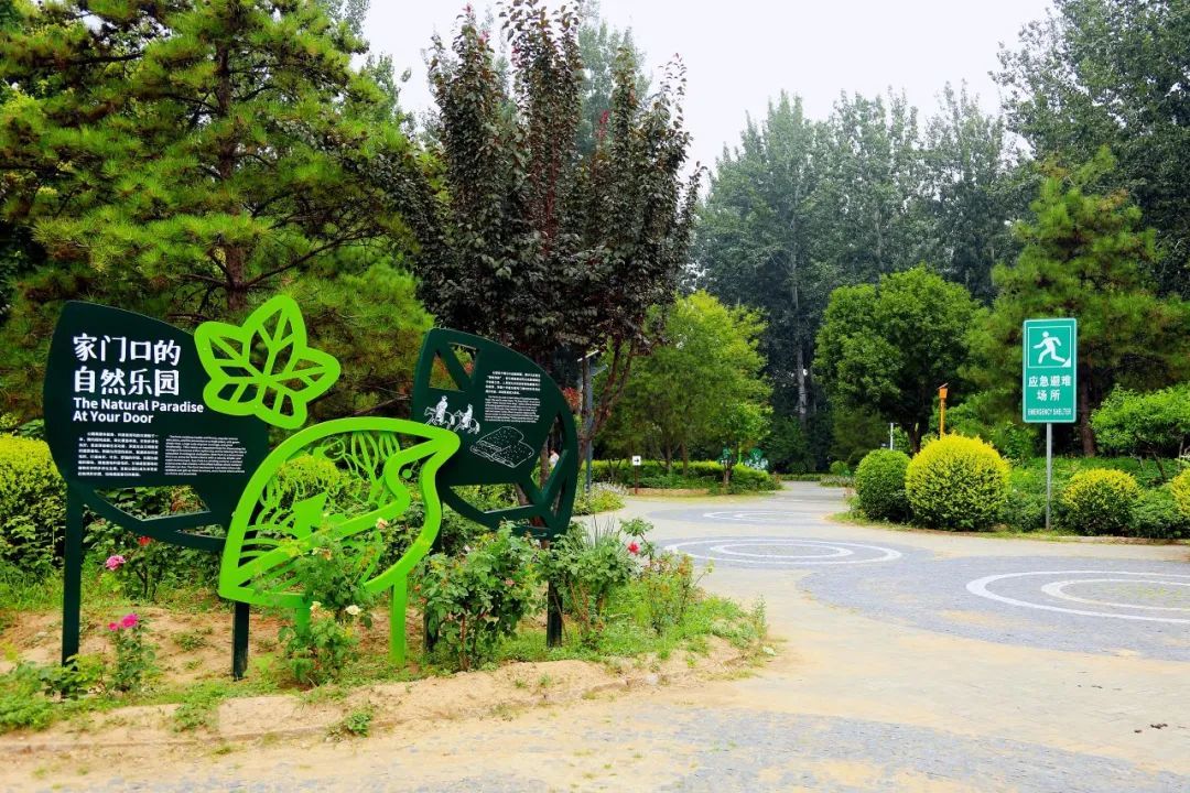 京城森林公园焕新颜：650亩绿隔乐园，自然教育新地标
