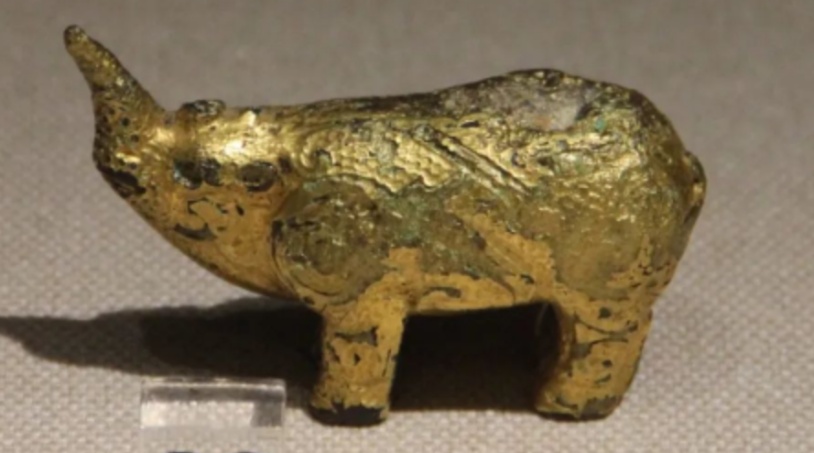 爱吃水果爱唱歌,它是冰川时代的昔日遗民,如今却只剩下几十只.... 爱吃水果爱唱歌,它是冰川时代的昔日遗民,如今却只剩下几十只....