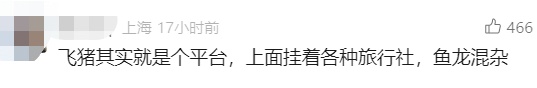 在知名平台买的机票竟无法登机！上海母女异国崩溃：看着飞机飞走，滞留10多个小时……