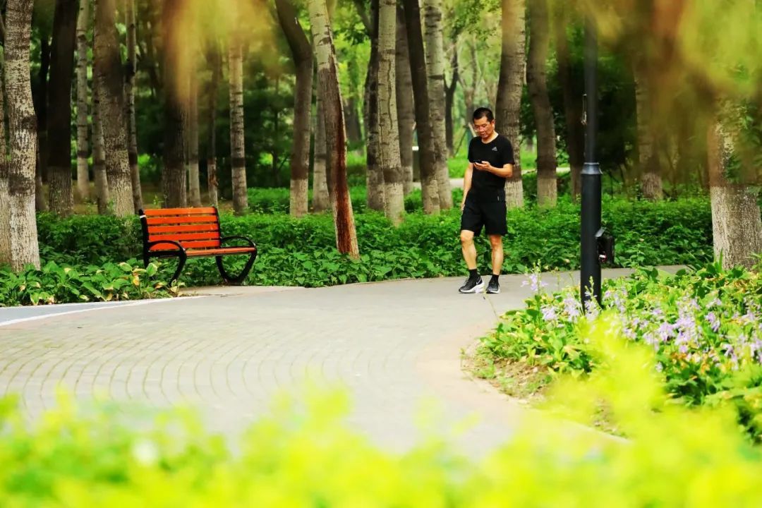 京城森林公园焕新颜：650亩绿隔乐园，自然教育新地标