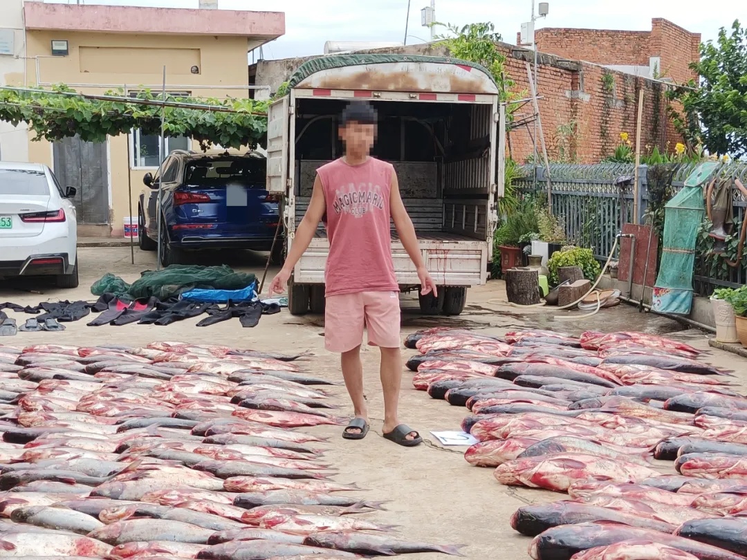 飙车炸街、非法捕捞、开设赌场……昆明警方通报十大案例 飙车炸街、非法捕捞、开设赌场……昆明警方通报十大案例