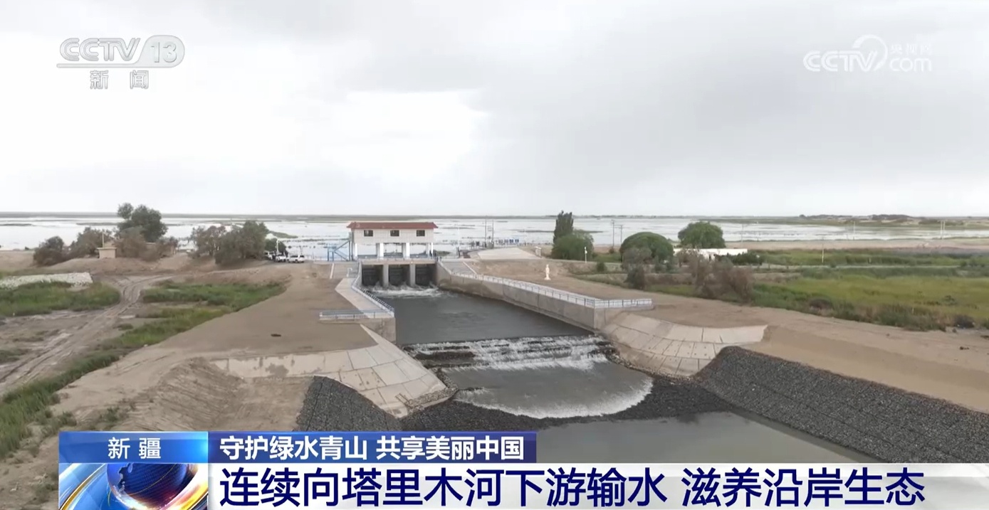 运用科学理念守护绿水青山 看塔里木河洪水如何为胡杨林“解渴”