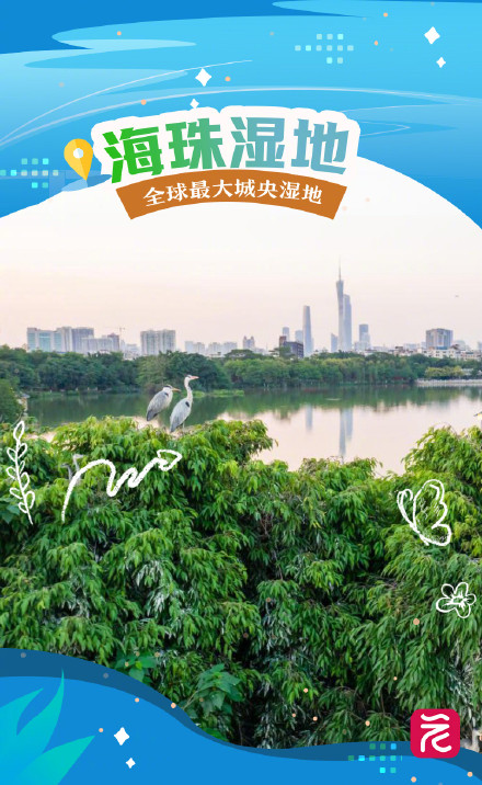 这些稀客，被北纬23度的广州“硬控”住了
