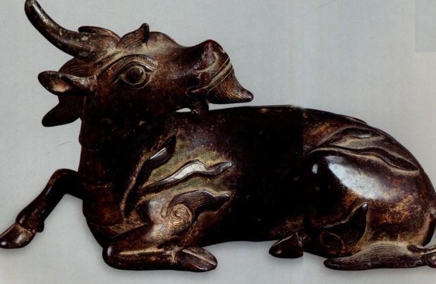 爱吃水果爱唱歌,它是冰川时代的昔日遗民,如今却只剩下几十只.... 爱吃水果爱唱歌,它是冰川时代的昔日遗民,如今却只剩下几十只....