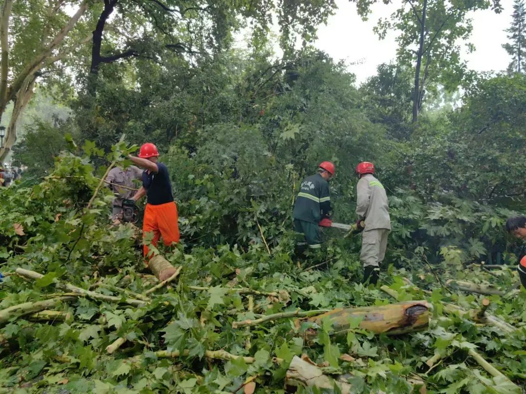 刚刚！杭州气温暴降10℃！