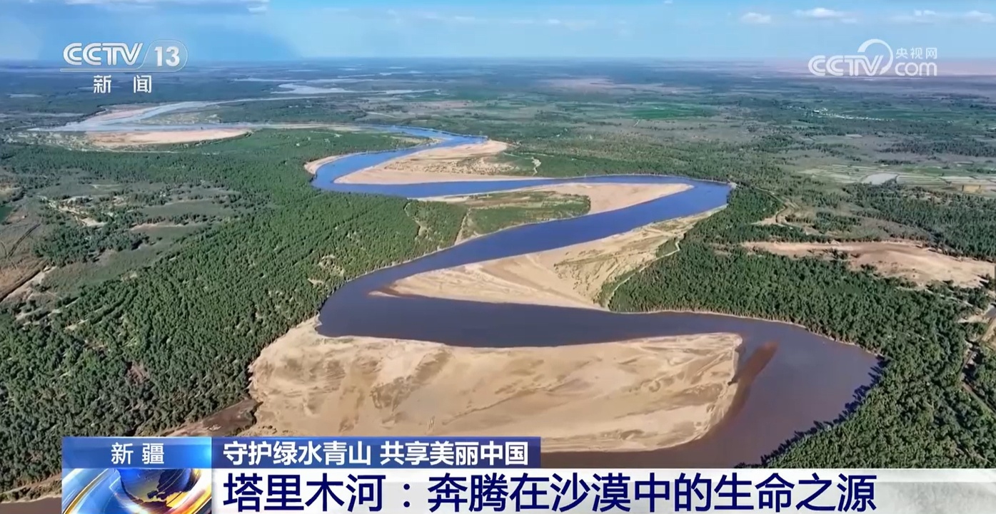 运用科学理念守护绿水青山 看塔里木河洪水如何为胡杨林“解渴”