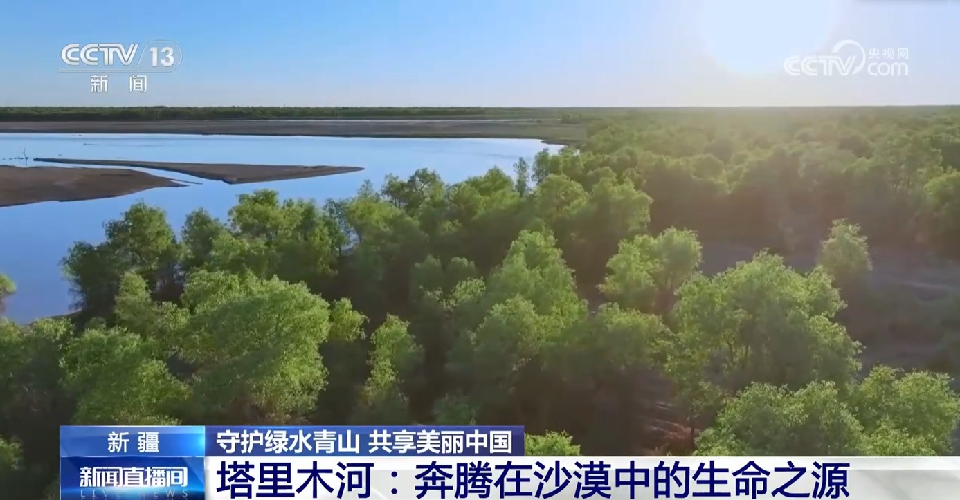 运用科学理念守护绿水青山 看塔里木河洪水如何为胡杨林“解渴”