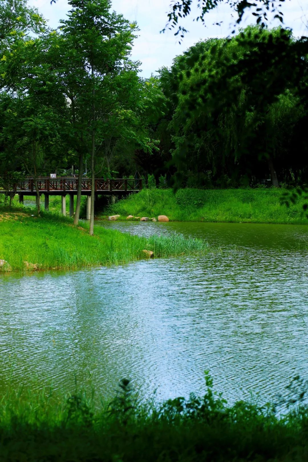 京城森林公园焕新颜：650亩绿隔乐园，自然教育新地标