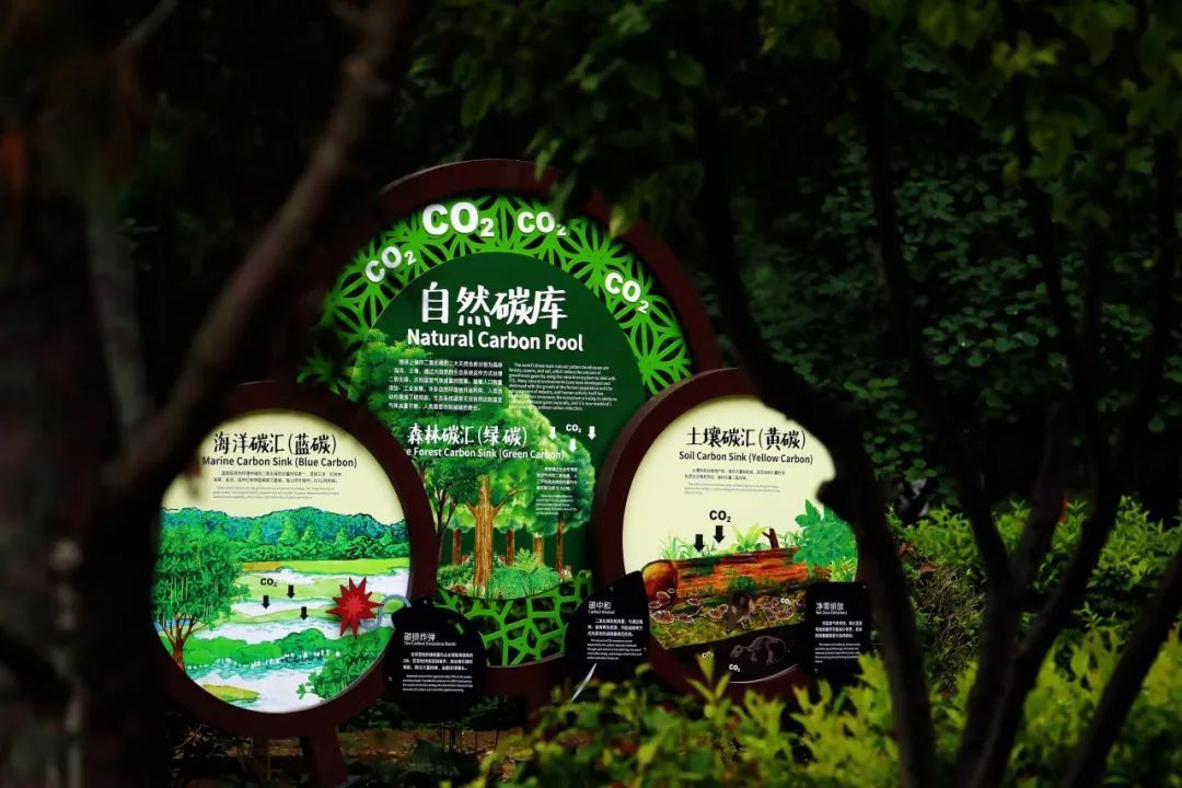 京城森林公园焕新颜：650亩绿隔乐园，自然教育新地标