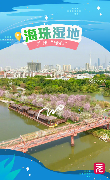 这些稀客，被北纬23度的广州“硬控”住了