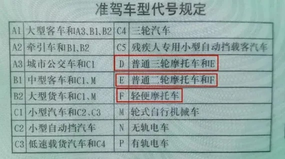 科普｜您的坐骑所谓何物？