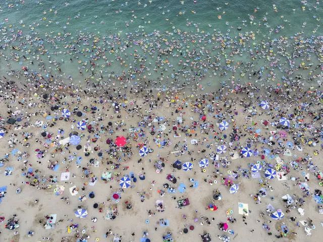 人流如织！知名景区“海水粪超标”？官方回应