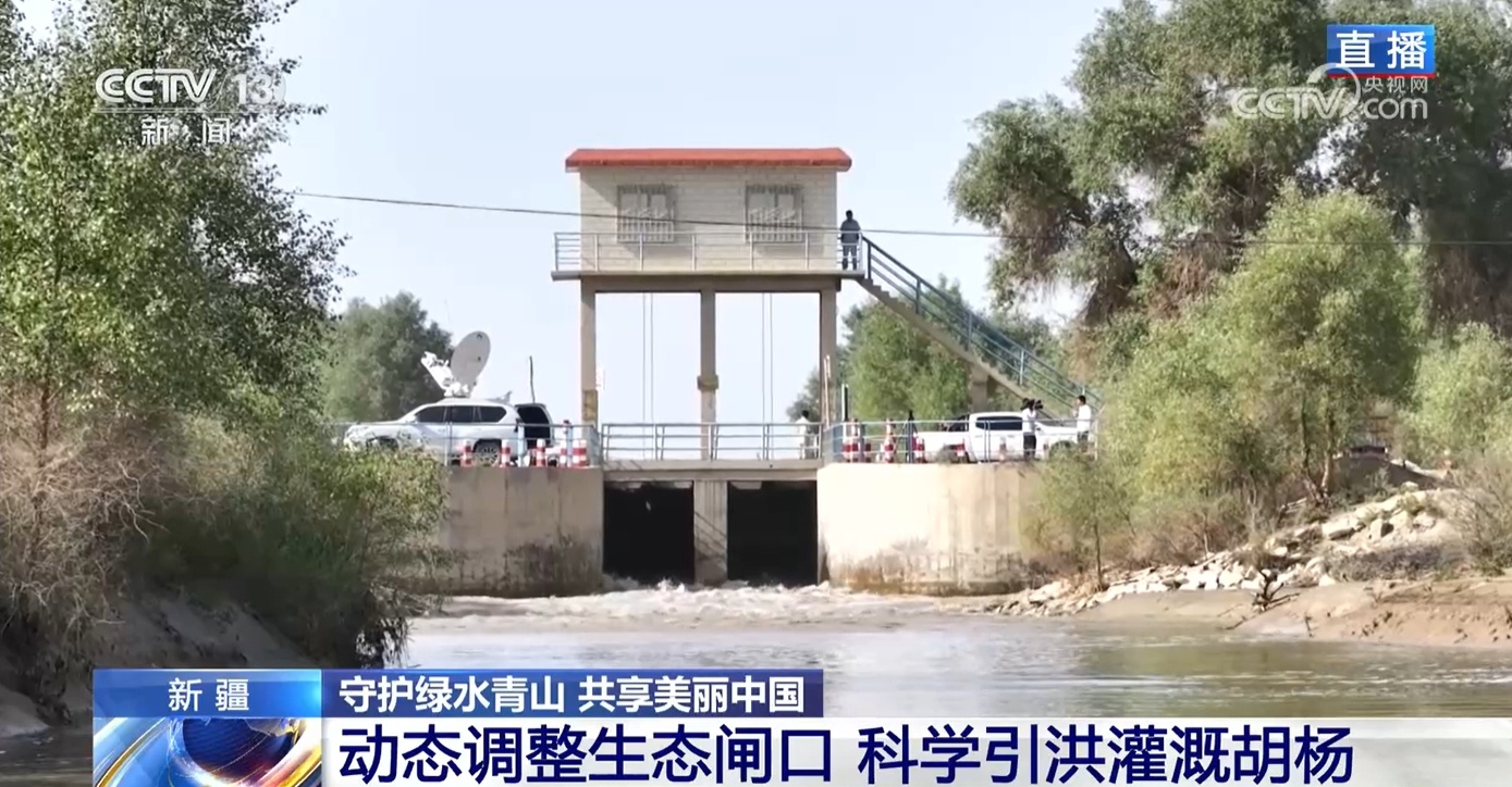运用科学理念守护绿水青山 看塔里木河洪水如何为胡杨林“解渴”