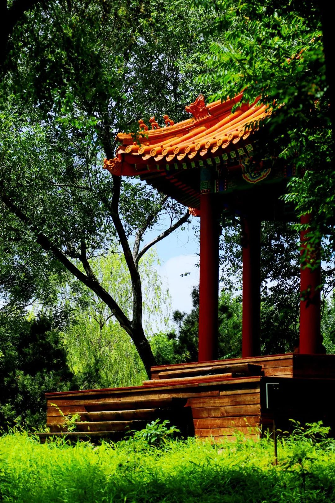 京城森林公园焕新颜：650亩绿隔乐园，自然教育新地标