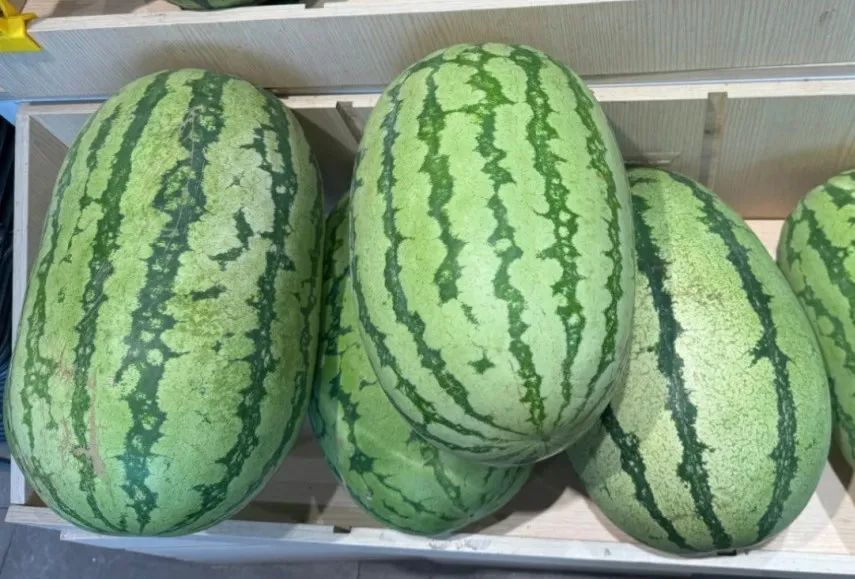 涨得太离谱!价格翻倍!常州很多人爱吃 涨得太离谱!价格翻倍!常州很多人爱吃