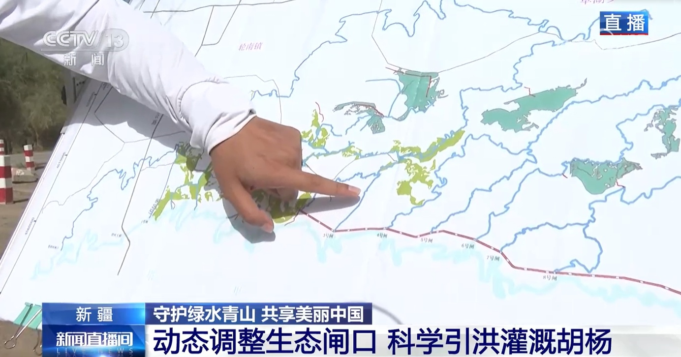 运用科学理念守护绿水青山 看塔里木河洪水如何为胡杨林“解渴”