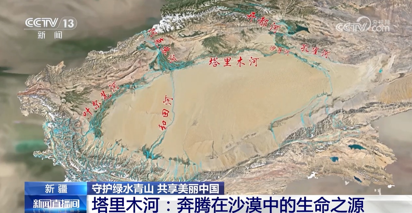 运用科学理念守护绿水青山 看塔里木河洪水如何为胡杨林“解渴”