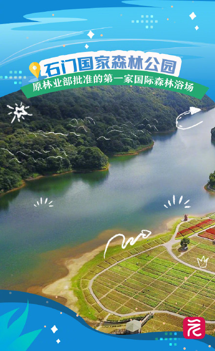 这些稀客，被北纬23度的广州“硬控”住了