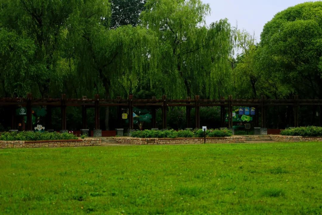 京城森林公园焕新颜：650亩绿隔乐园，自然教育新地标