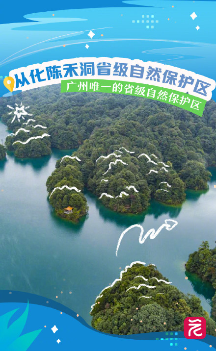 这些稀客，被北纬23度的广州“硬控”住了