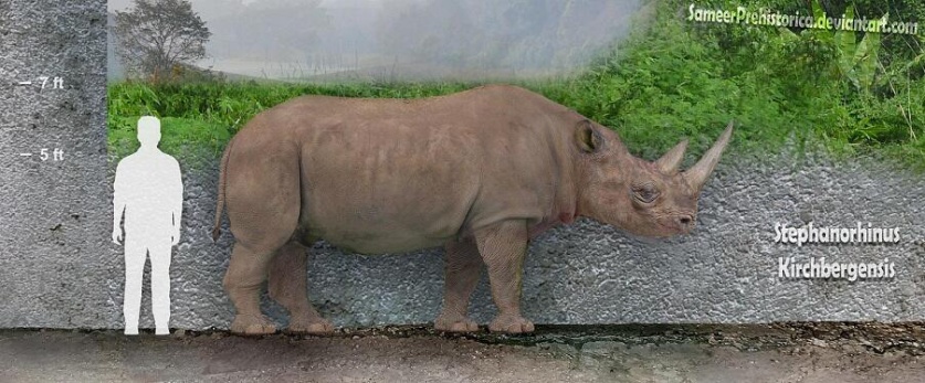 爱吃水果爱唱歌,它是冰川时代的昔日遗民,如今却只剩下几十只.... 爱吃水果爱唱歌,它是冰川时代的昔日遗民,如今却只剩下几十只....