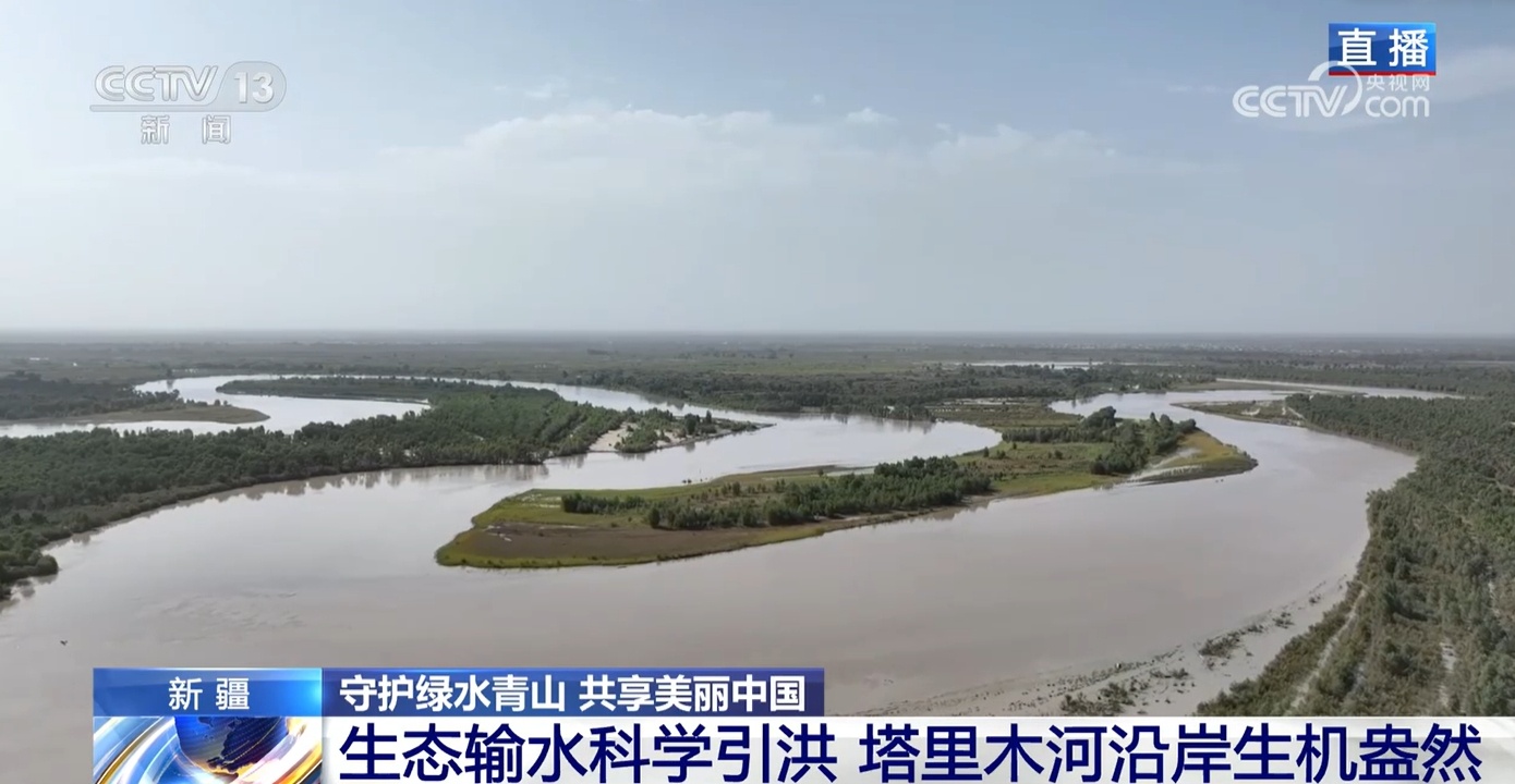 运用科学理念守护绿水青山 看塔里木河洪水如何为胡杨林“解渴”