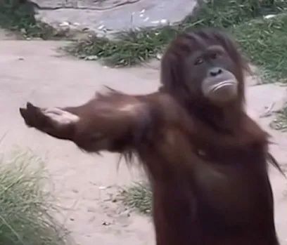 十个人里只有一个!左撇子真的更聪明吗? 十个人里只有一个!左撇子真的更聪明吗?