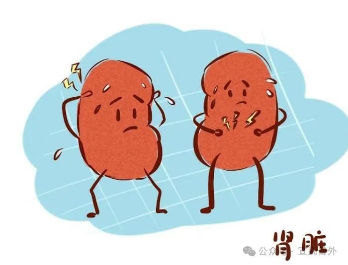 臭臭惹人爱的榴莲该如何健康的吃呢? 臭臭惹人爱的榴莲该如何健康的吃呢?