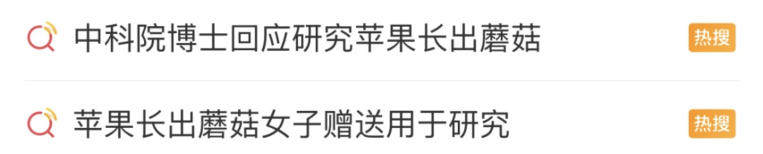 红遍全网的果菌王有了首批"后代"!她最先尝鲜 红遍全网的果菌王有了首批"后代"!她最先尝鲜