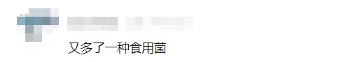红遍全网的果菌王有了首批"后代"!她最先尝鲜 红遍全网的果菌王有了首批"后代"!她最先尝鲜
