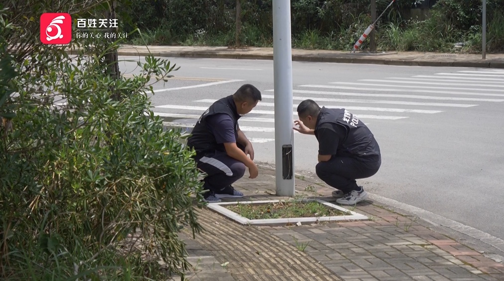 太大胆！4名男子白天“开豪车”，晚上竟然干这事