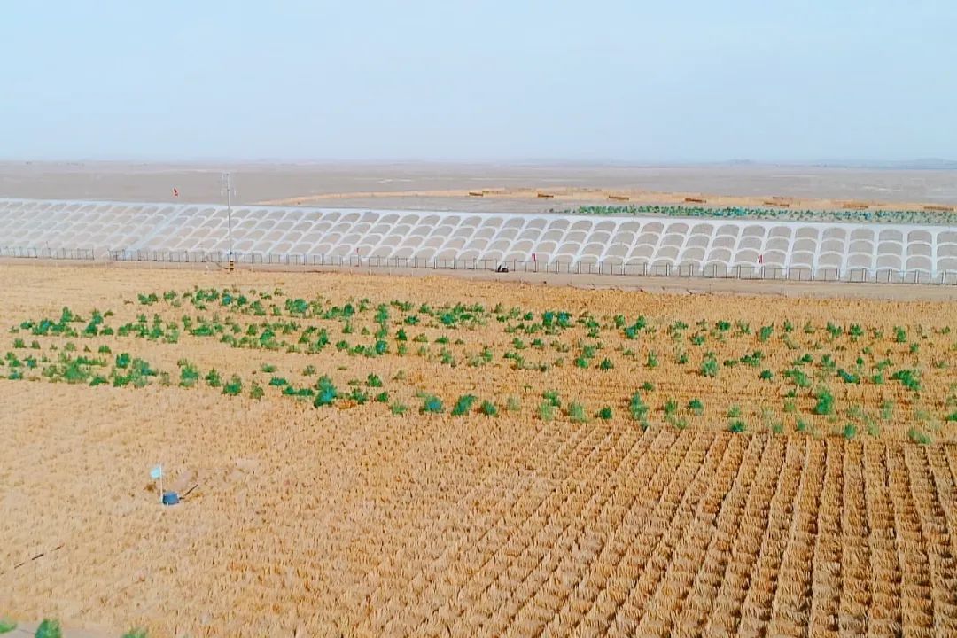 中国第一大沙漠下暴雨了!铁路人这样应对 中国第一大沙漠下暴雨了!铁路人这样应对