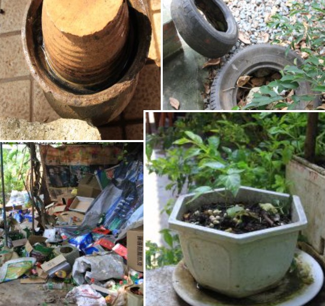 登革热进入流行季,海南疾控提醒→ 登革热进入流行季,海南疾控提醒→