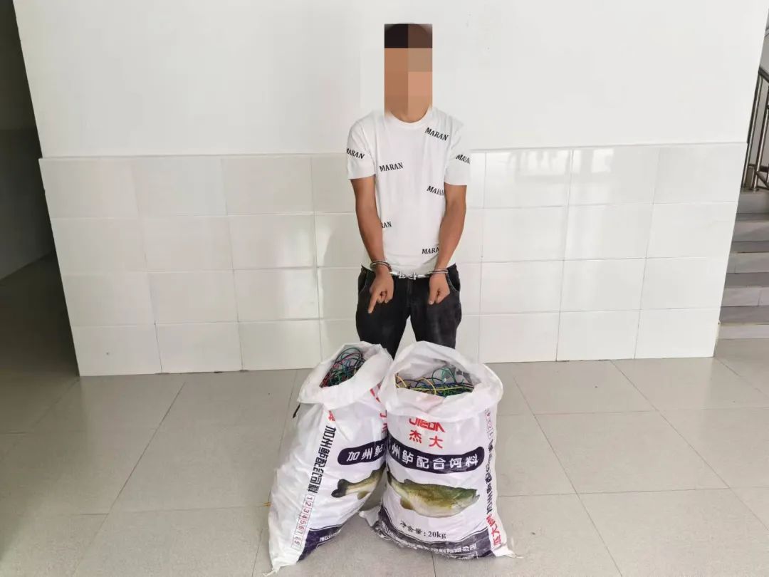 6人偷300多斤电线?真刑! 6人偷300多斤电线?真刑!