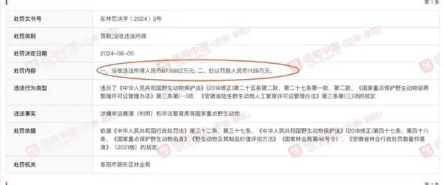 曾致20只东北虎死亡！一野生动物园被罚1139万元！