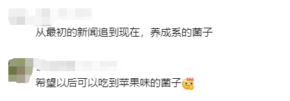 红遍全网的果菌王有了首批"后代"!她最先尝鲜 红遍全网的果菌王有了首批"后代"!她最先尝鲜