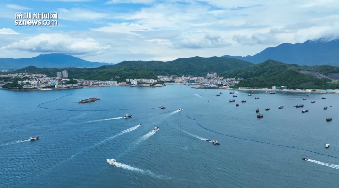 今天开渔！场面壮观，直击现场