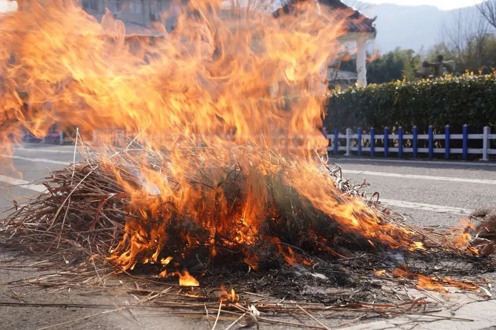小举动酿成大灾祸！当心这个不良习惯