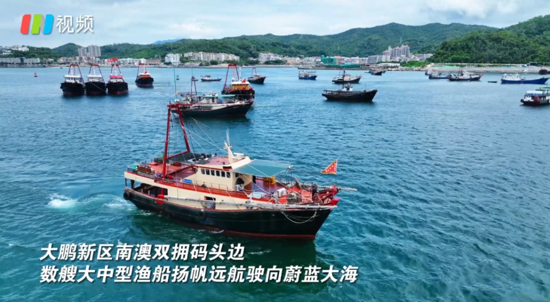 今天开渔！场面壮观，直击现场