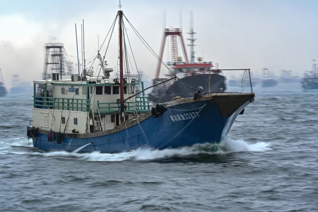 今天开渔！场面壮观，直击现场