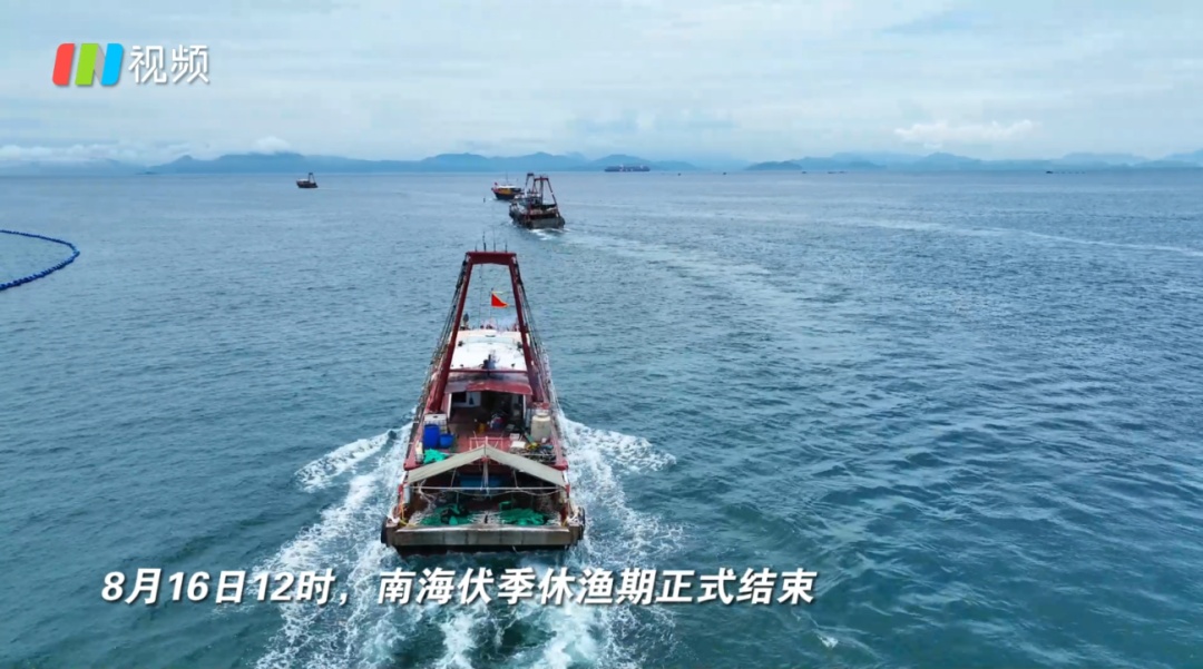 今天开渔！场面壮观，直击现场