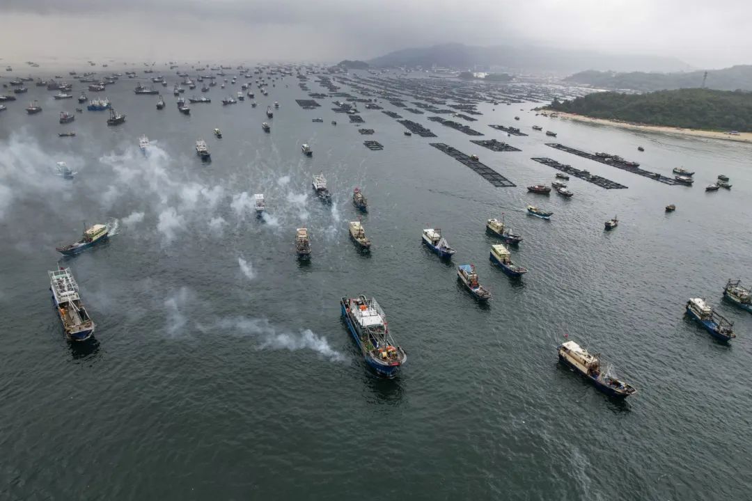 今天开渔！场面壮观，直击现场