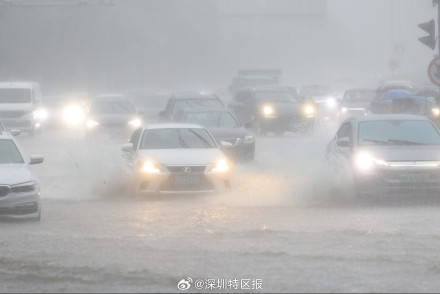 暴雨期间深圳超2万人次保障城市平稳运行