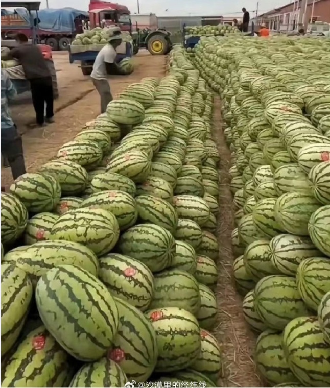 太突然!重回“3元时代”!网友嘀咕:怎么涨价了 太突然!重回“3元时代”!网友嘀咕:怎么涨价了